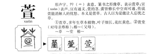 萱的名字